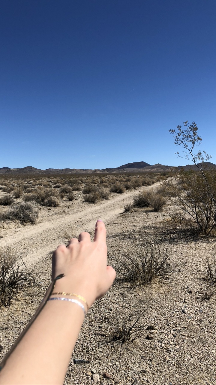 Обои США, Мохаве, кустарник, десерт, палец в разрешении 720x1280