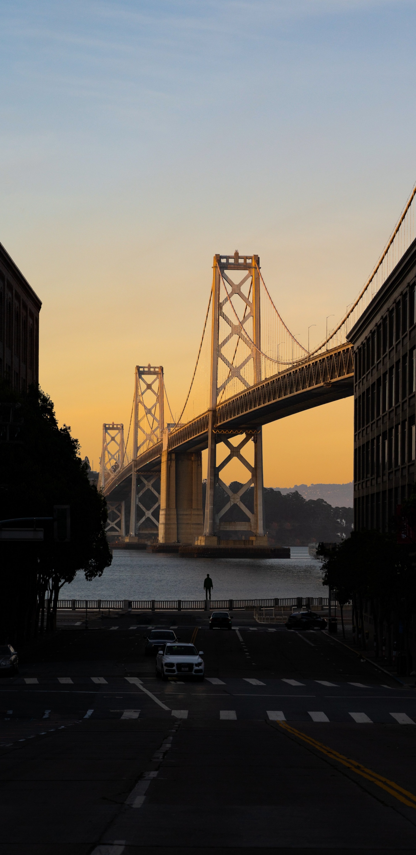 Обои Сан-Франциско-Окленд Бэй-Бридж, облако, инфраструктура, легковые автомобили, дерево в разрешении 1440x2960