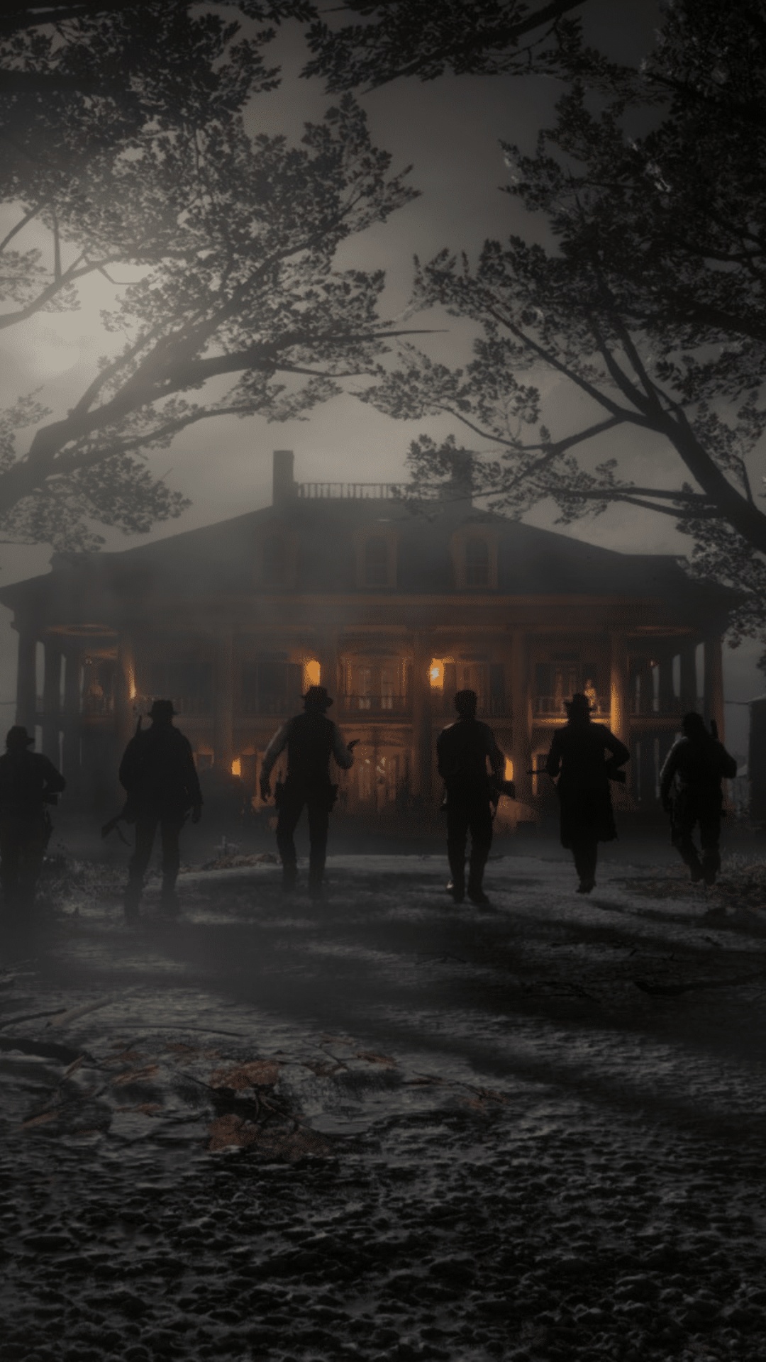 Обои red dead redemption 2, миссия, темнота, наука, химия в разрешении 1080x1920