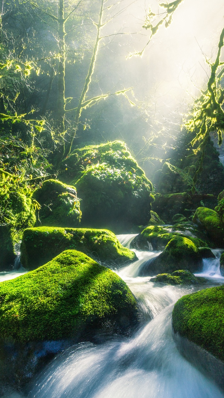 Обои с днем рождения водопад, Малтнома-Фолс, река Колумбия, водопад, вода в разрешении 720x1280