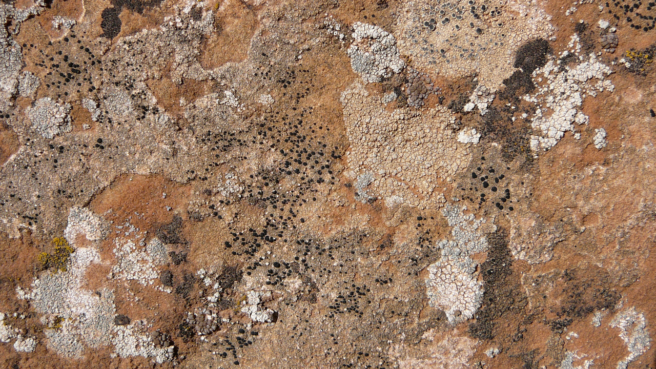 Обои почва, обнажение, рок, стена, геология в разрешении 1280x720