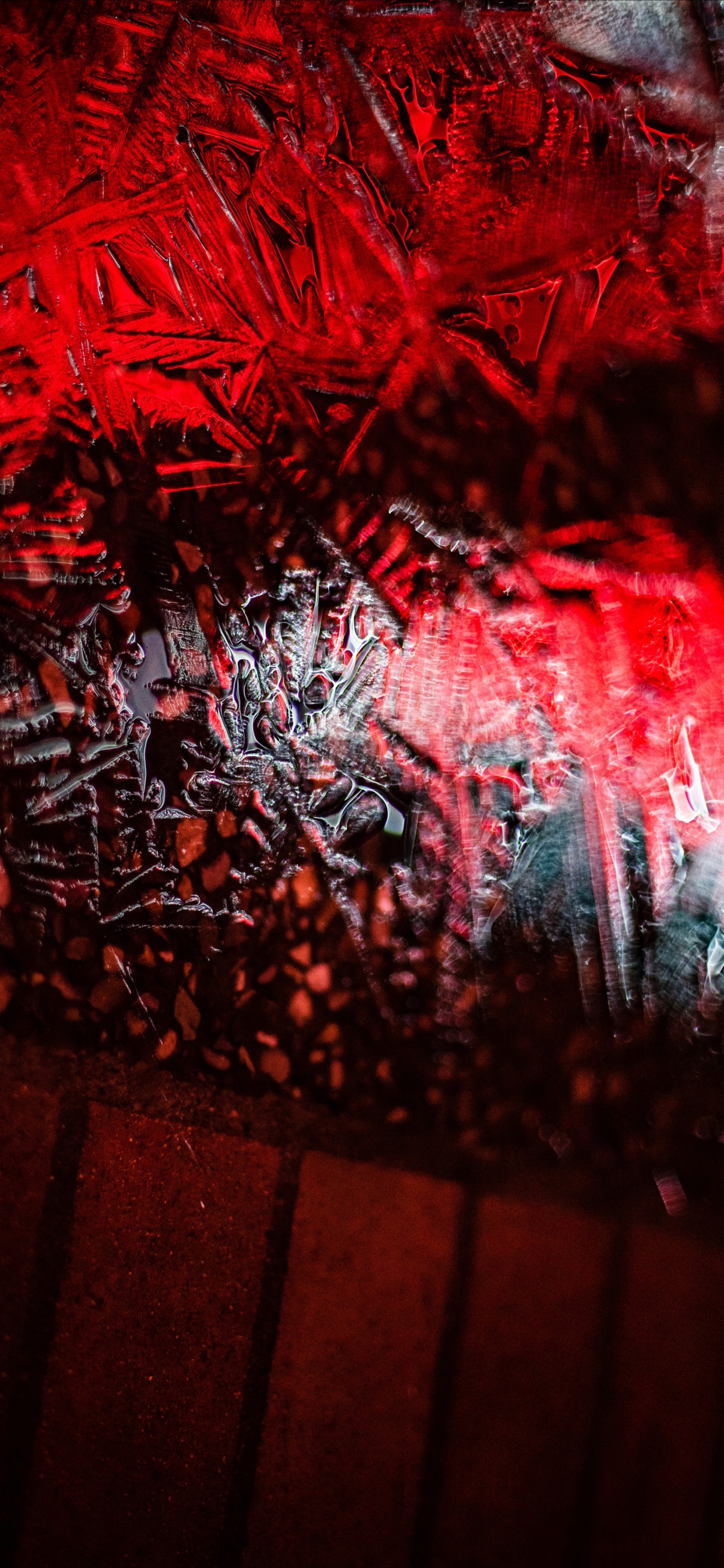 Обои графика, красный цвет, дерево, арт, растение в разрешении 1242x2688