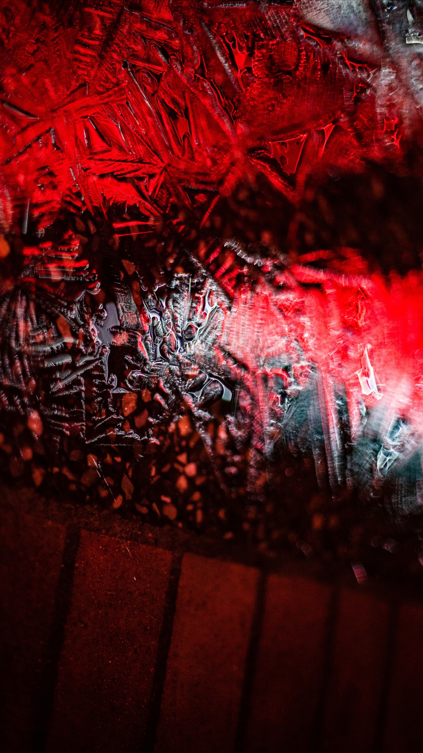 Обои графика, красный цвет, дерево, арт, растение в разрешении 1440x2560