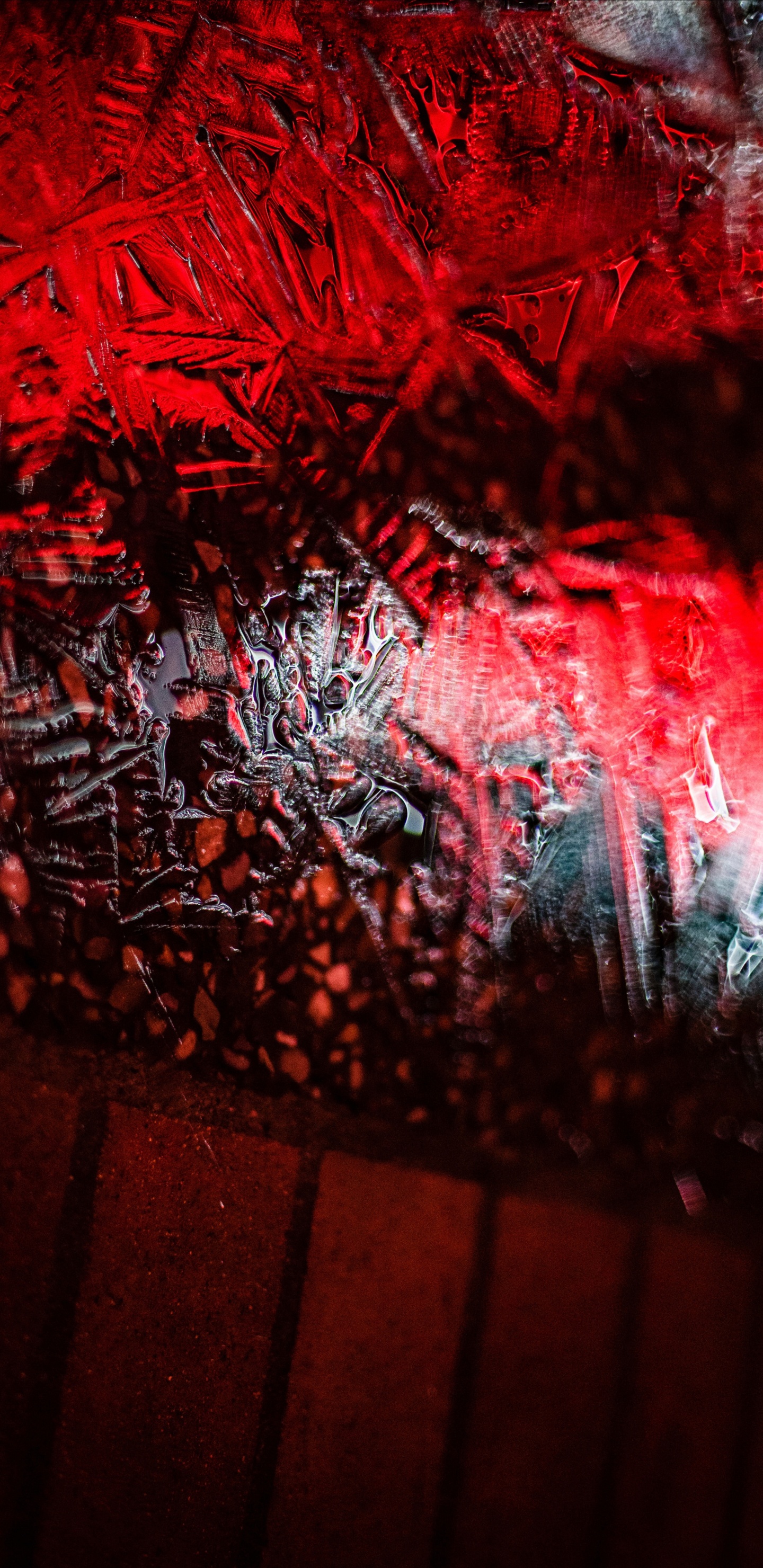 Обои графика, красный цвет, дерево, арт, растение в разрешении 1440x2960