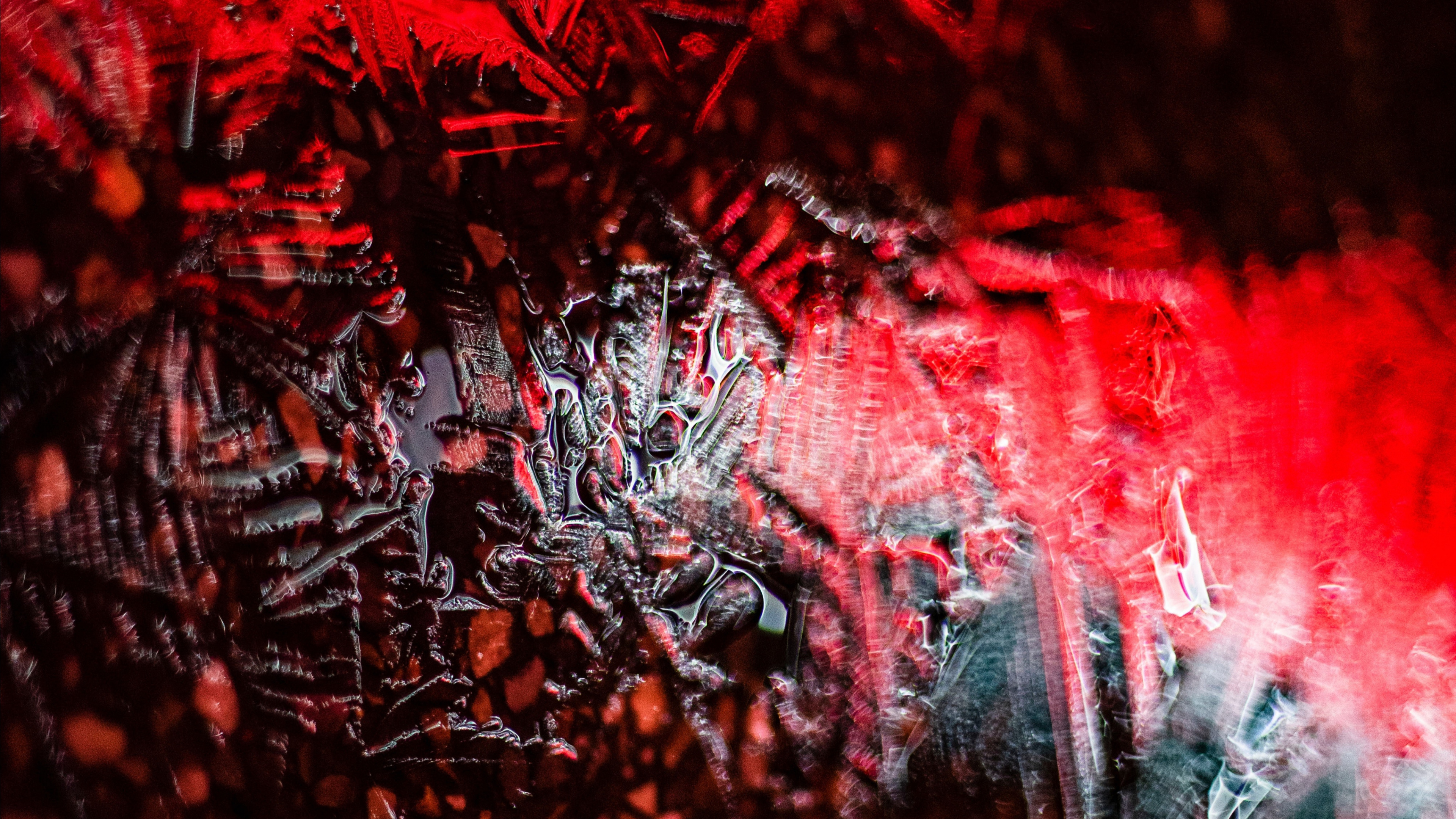 Обои графика, красный цвет, дерево, арт, растение в разрешении 3840x2160