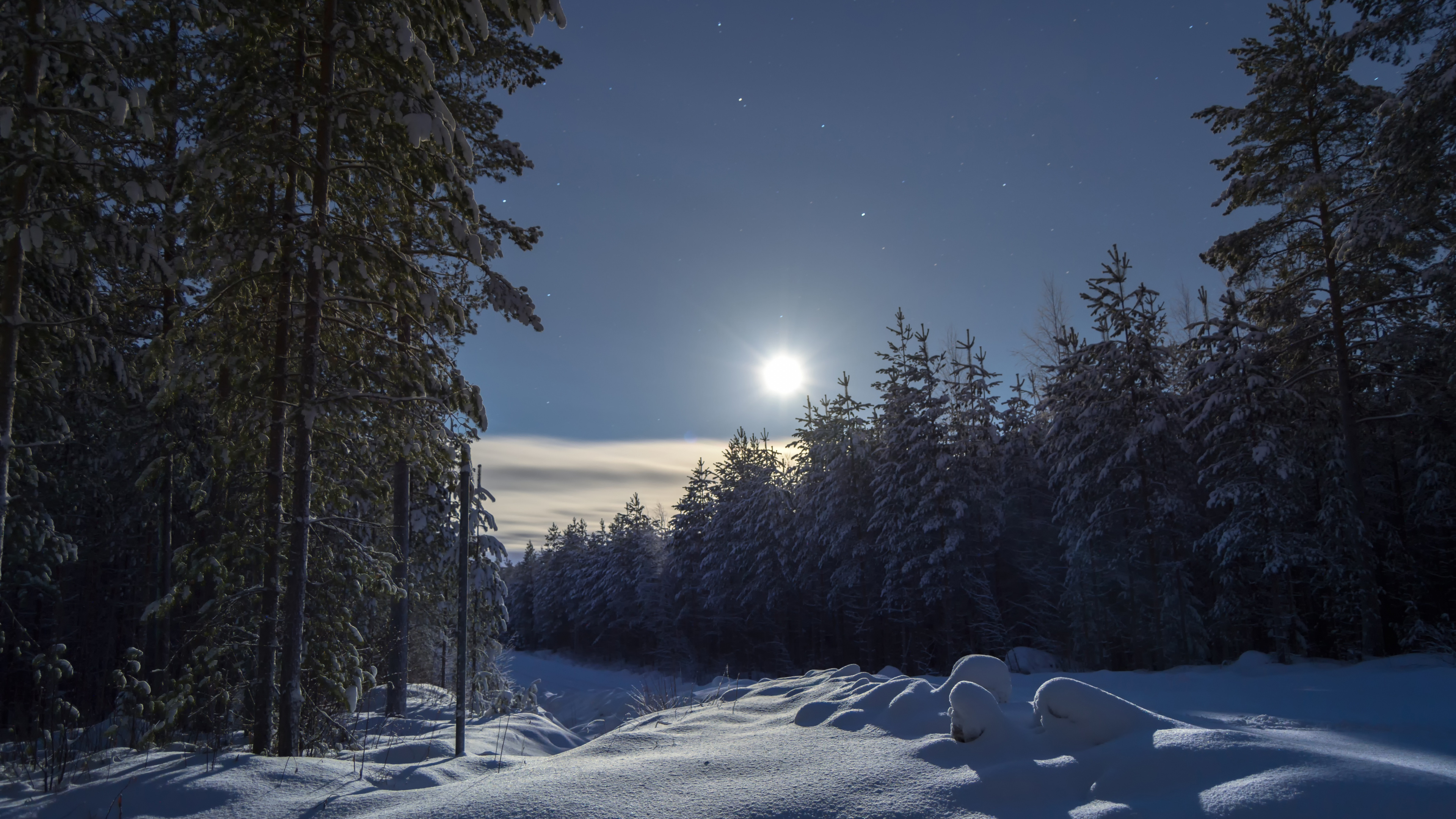 Обои зима, снег, природа, дерево, замораживание в разрешении 3840x2160