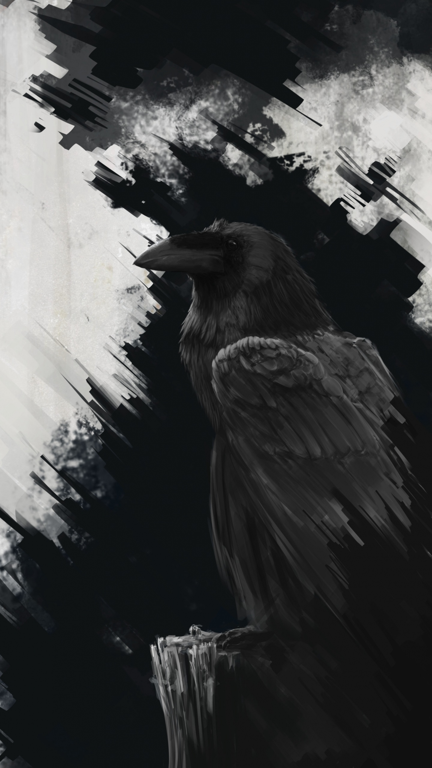 Обои ворон, ворона, птица, Грач, американская ворона в разрешении 1440x2560