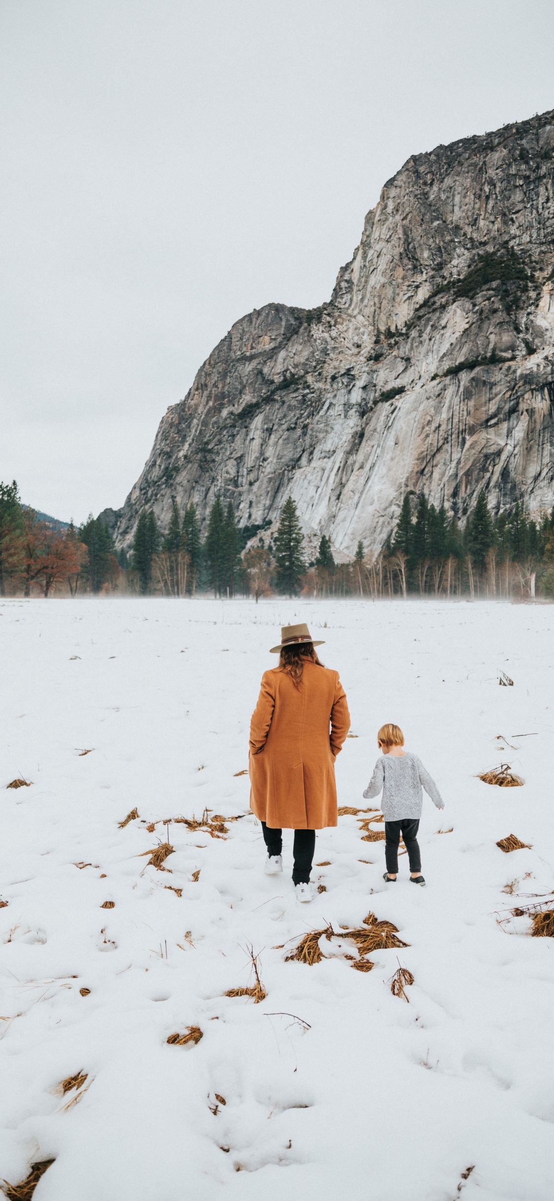 Обои йосемитский национальный парк, снег, зима, дерево, рок в разрешении 1125x2436