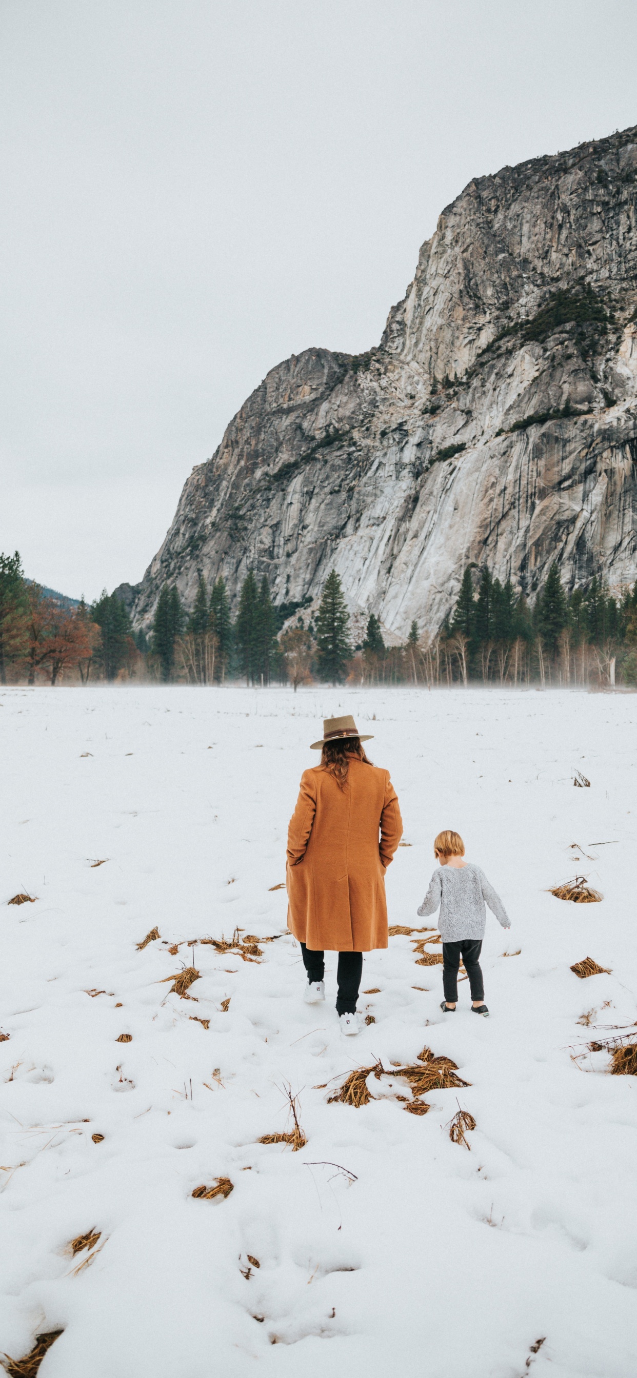 Обои йосемитский национальный парк, снег, зима, дерево, рок в разрешении 1242x2688