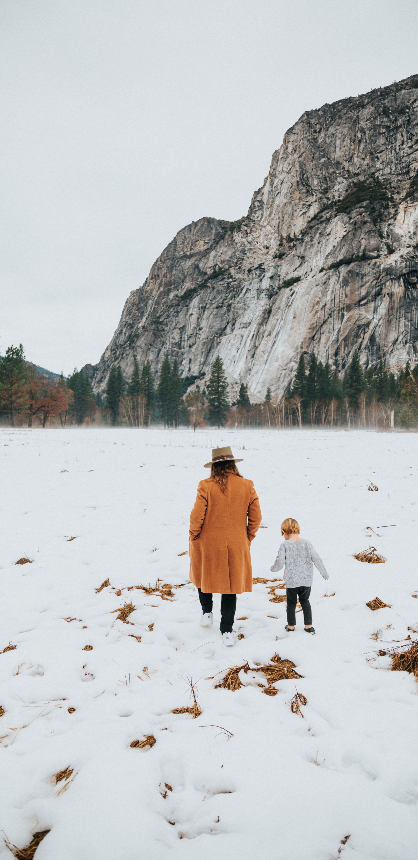 Обои йосемитский национальный парк, снег, зима, дерево, рок в разрешении 1440x2960