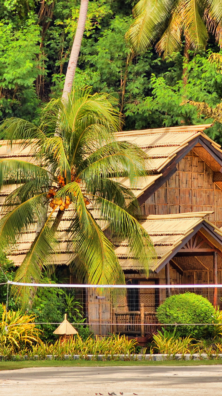 Обои Филиппины, растительность, природа, дерево, джунгли в разрешении 750x1334