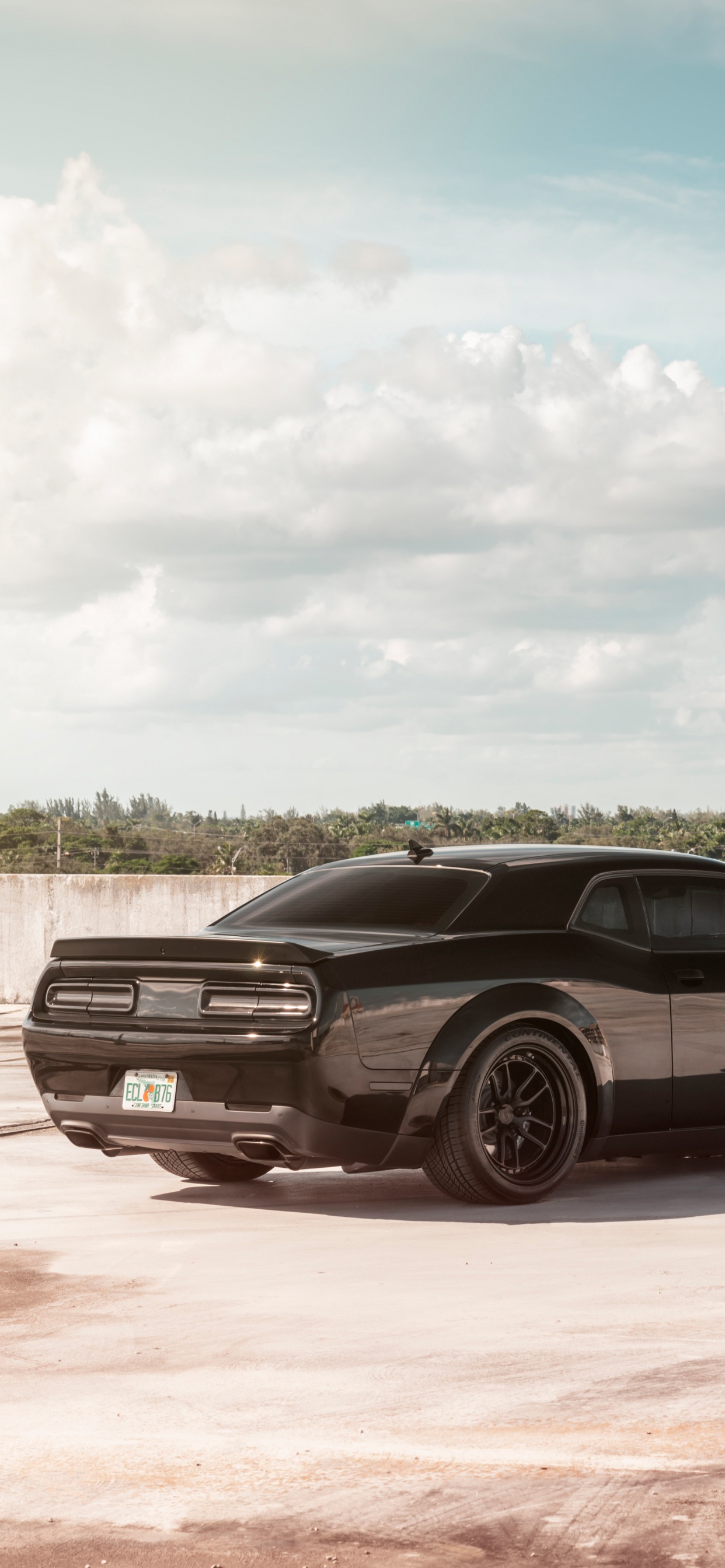 Обои dodge, авто, спорткар, Додж Чарджер СРТ мегеру, шина в разрешении 1242x2688