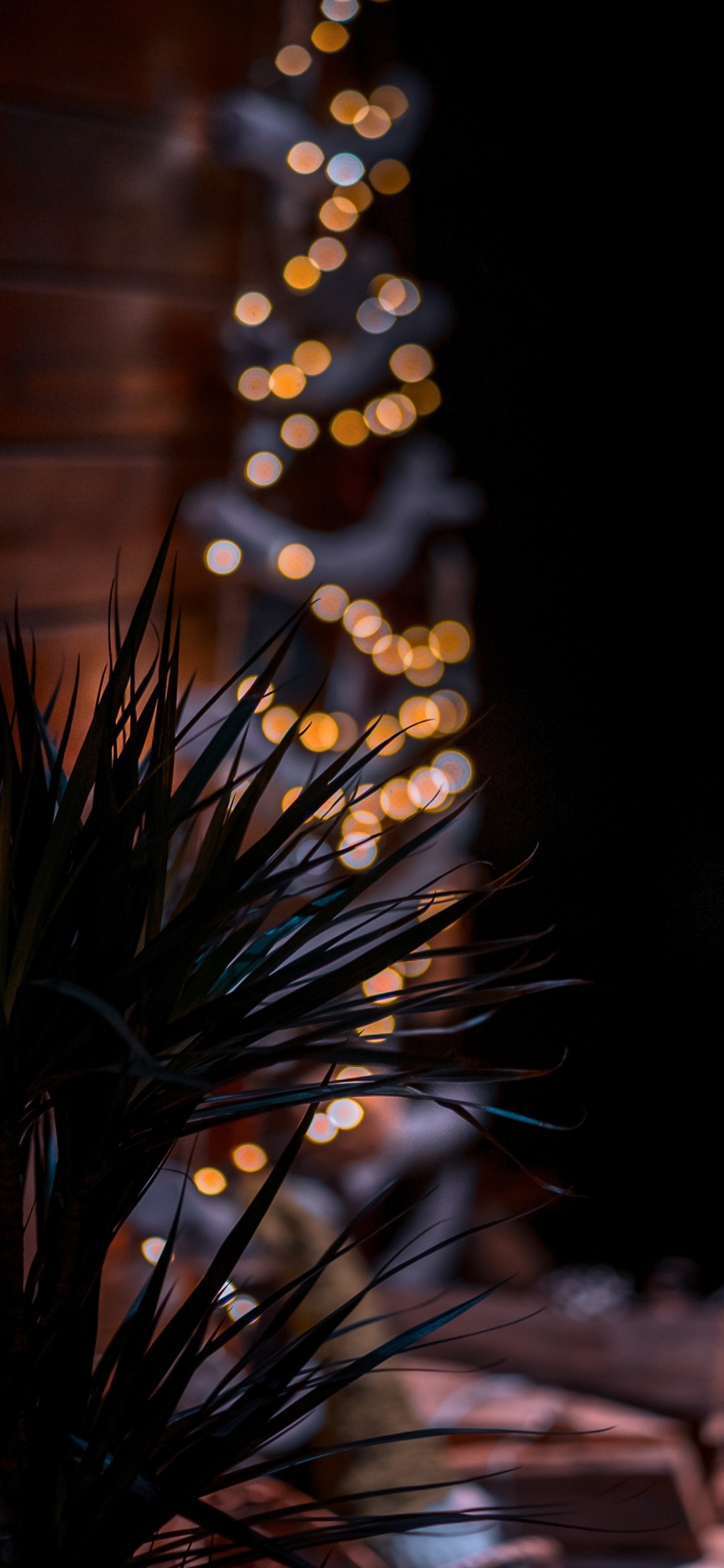 Обои Флора, пиление, растение, прут, древесина в разрешении 1242x2688