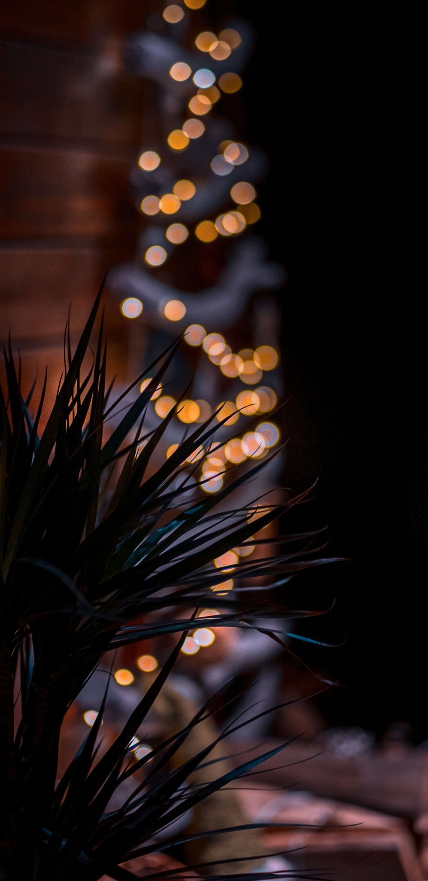 Обои Флора, пиление, растение, прут, древесина в разрешении 1440x2960