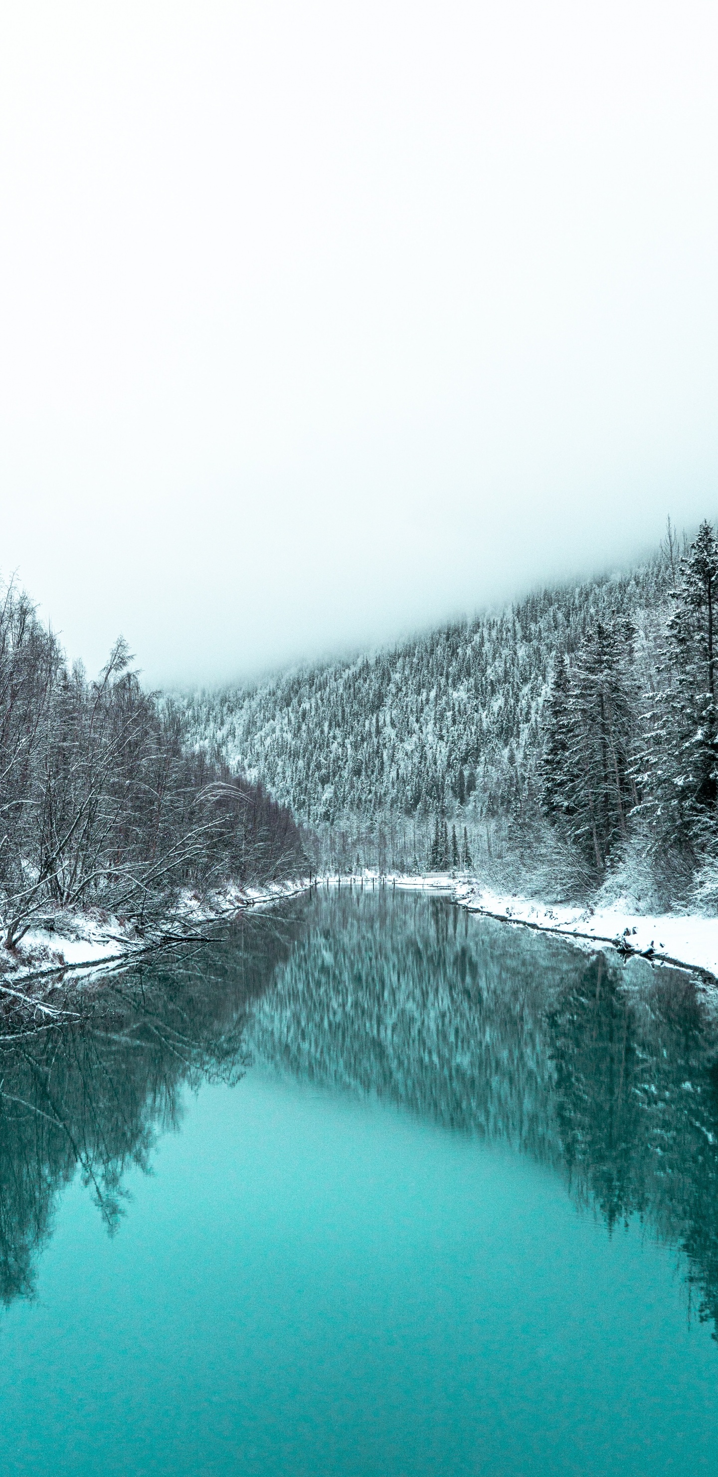 Обои отражение, зима, небо, гидроресурсы, вода в разрешении 1440x2960