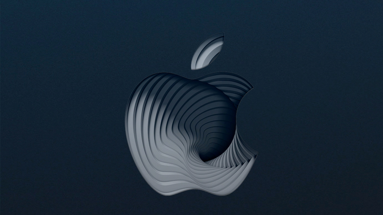 Обои подземные воды, морская биология, вода, морские беспозвоночные, арт в разрешении 1280x720