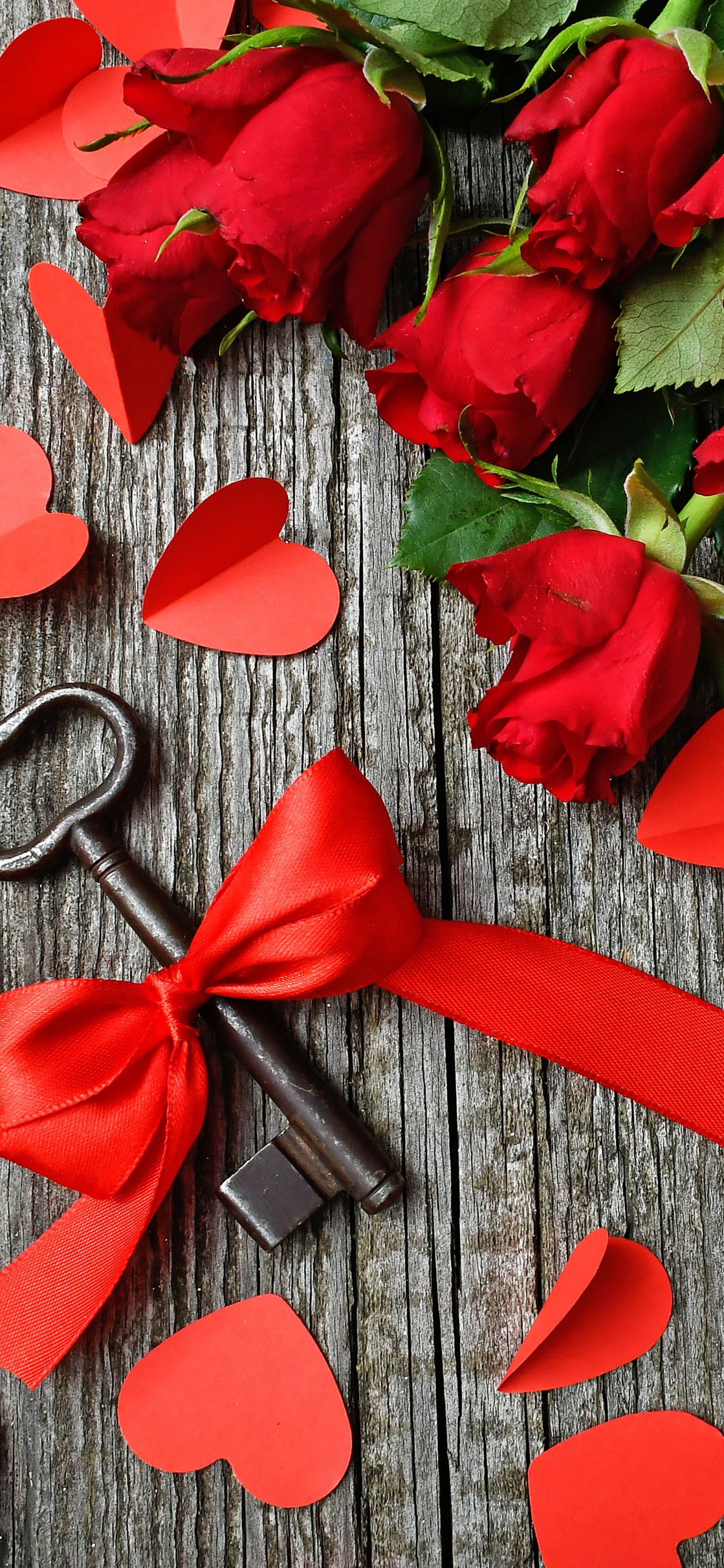 Обои сердце, красный цвет, лист, лепесток, цветок в разрешении 1242x2688