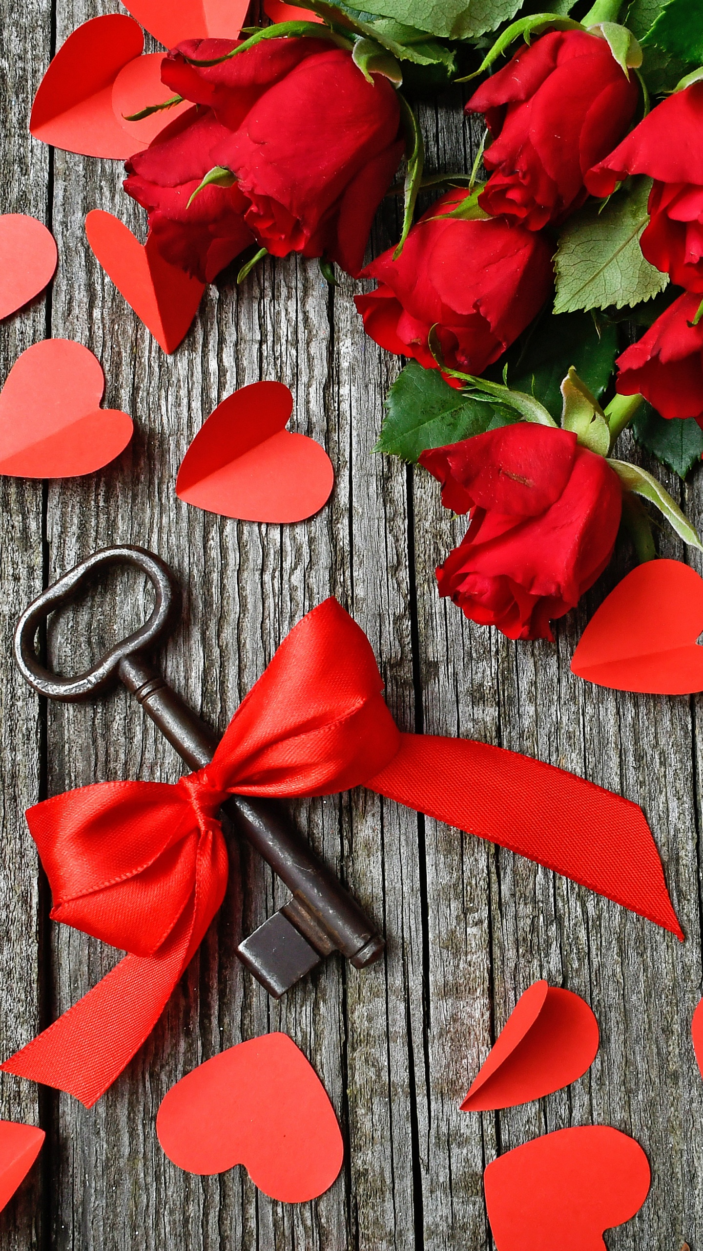 Обои сердце, красный цвет, лист, лепесток, цветок в разрешении 1440x2560