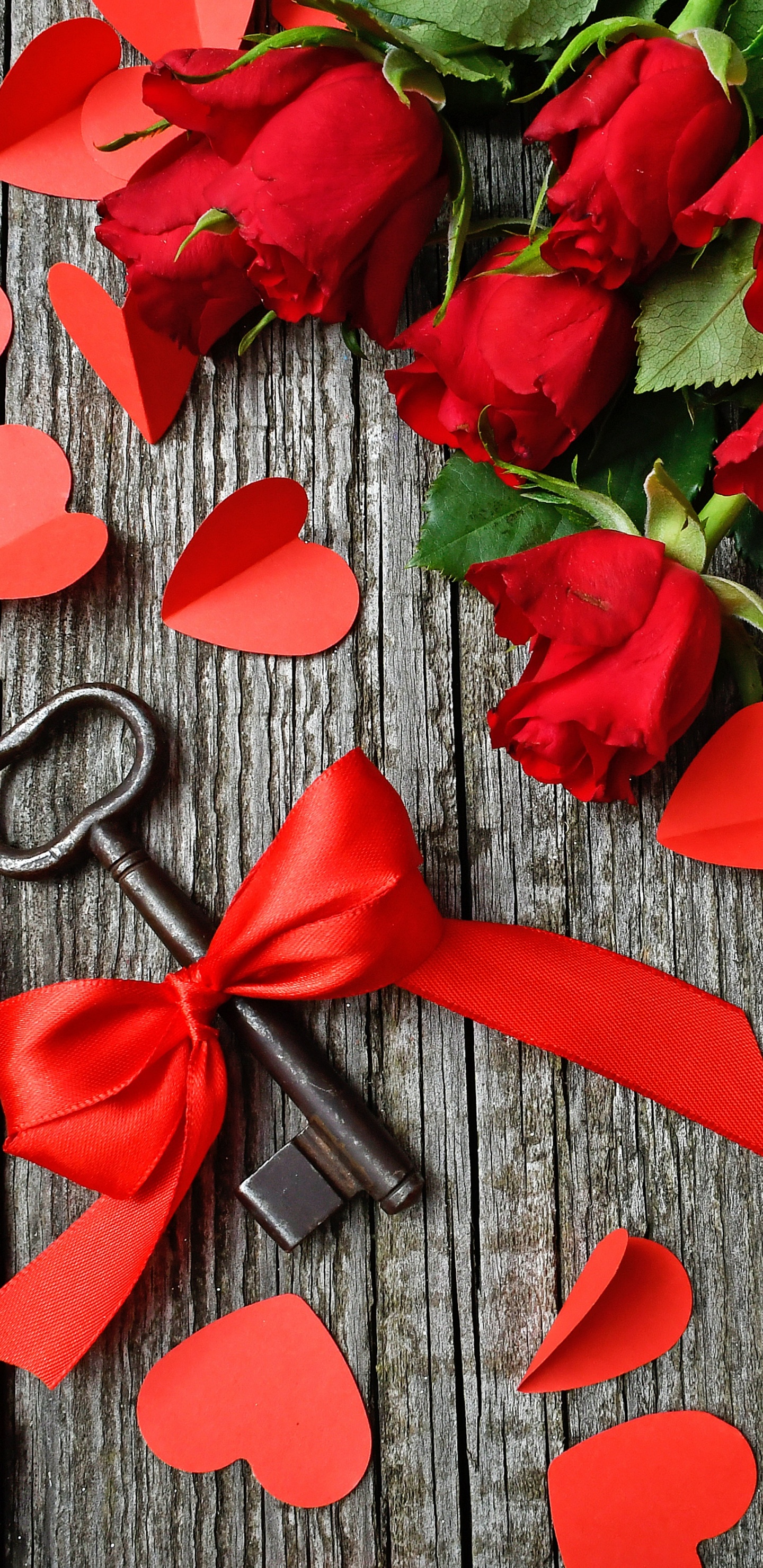 Обои сердце, красный цвет, лист, лепесток, цветок в разрешении 1440x2960