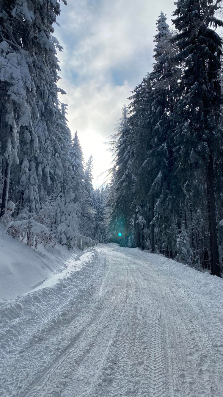 Обои зима, облако, снег, природный ландшафт, склон в разрешении 750x1334