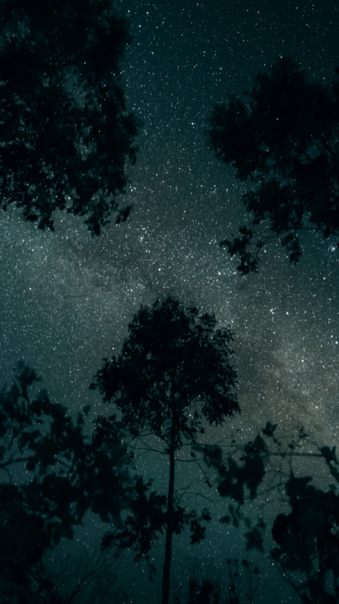 Обои облако, ночь, атмосфера, мир, природный ландшафт в разрешении 1080x1920