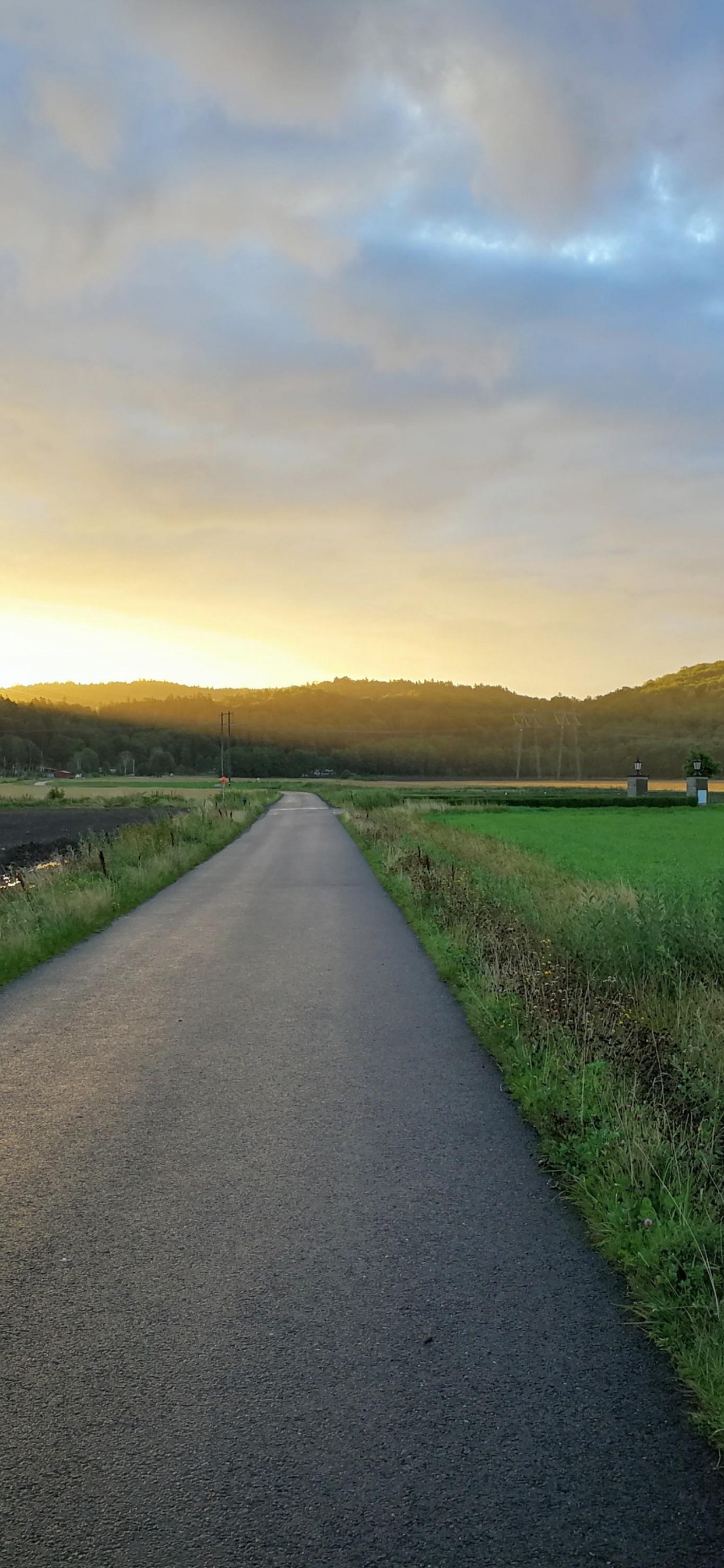 Обои облако, растение, экорегион, природный ландшафт, дорожное покрытие в разрешении 1242x2688