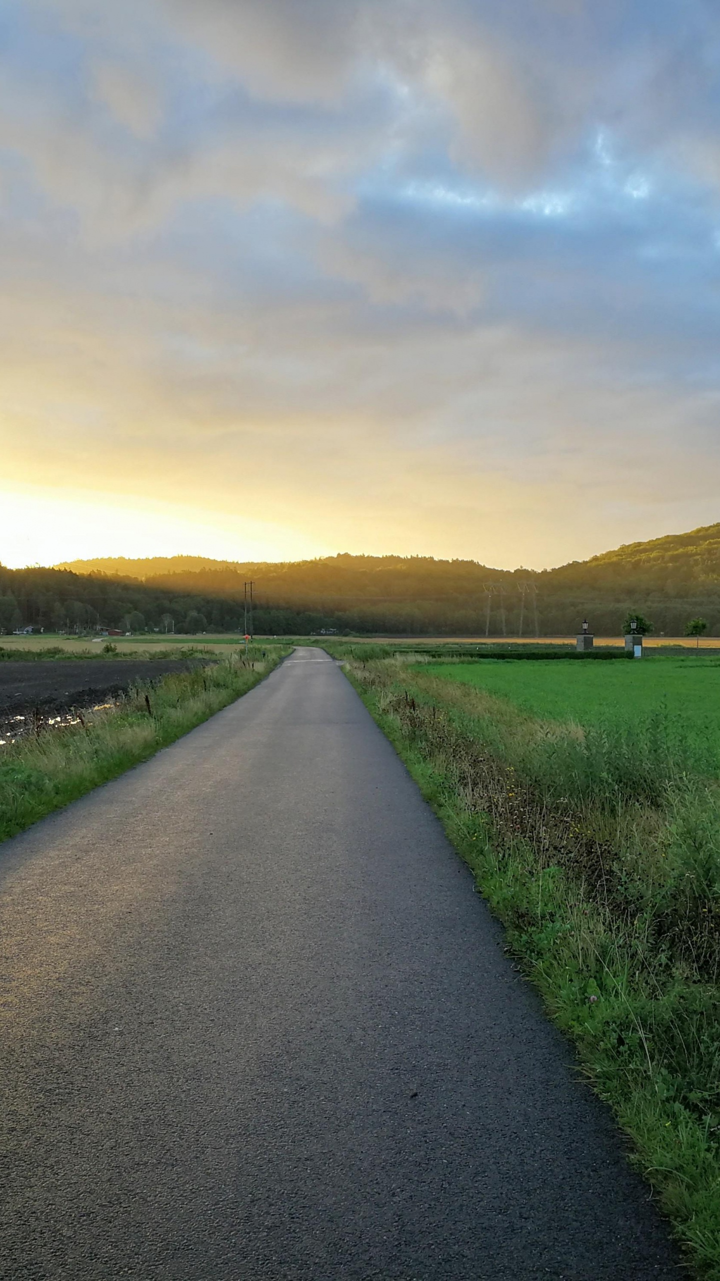 Обои облако, растение, экорегион, природный ландшафт, дорожное покрытие в разрешении 1440x2560