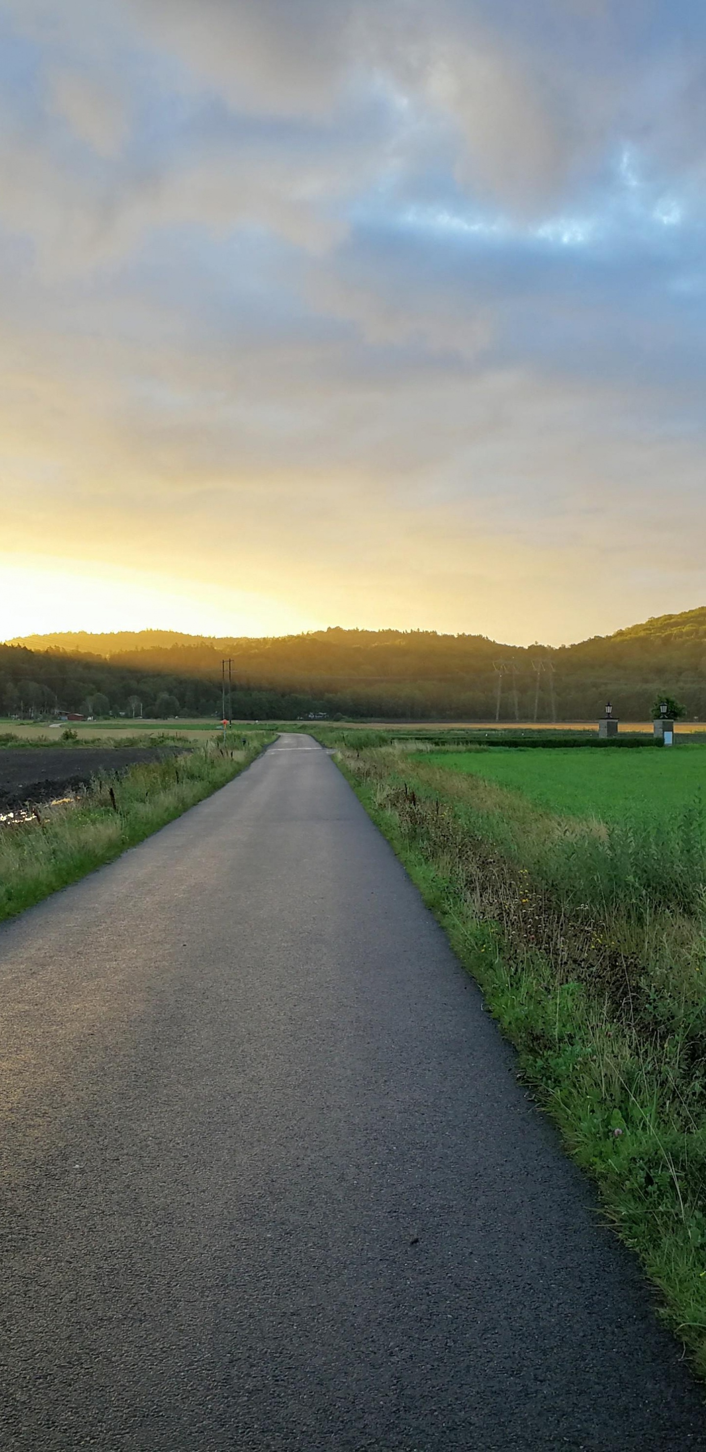 Обои облако, растение, экорегион, природный ландшафт, дорожное покрытие в разрешении 1440x2960