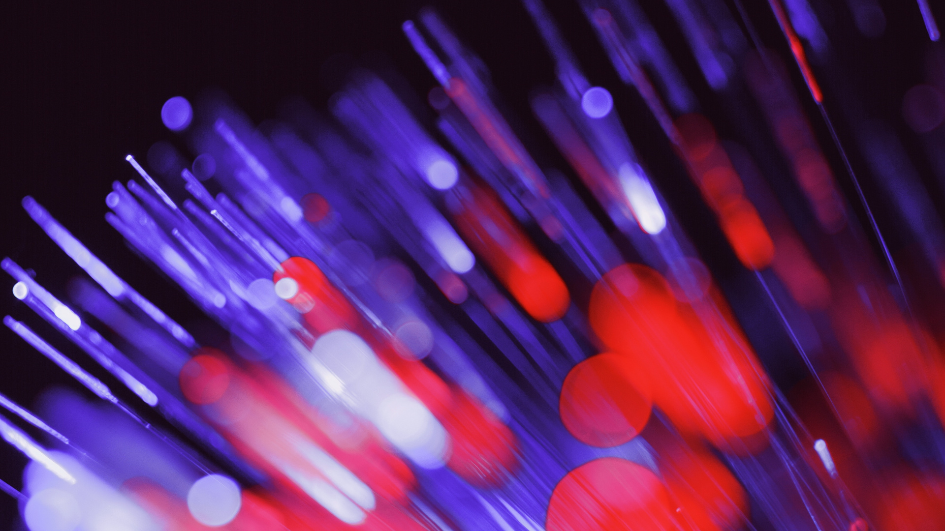 Обои оптическое волокно, оптика, волокно, синий, свет в разрешении 1920x1080