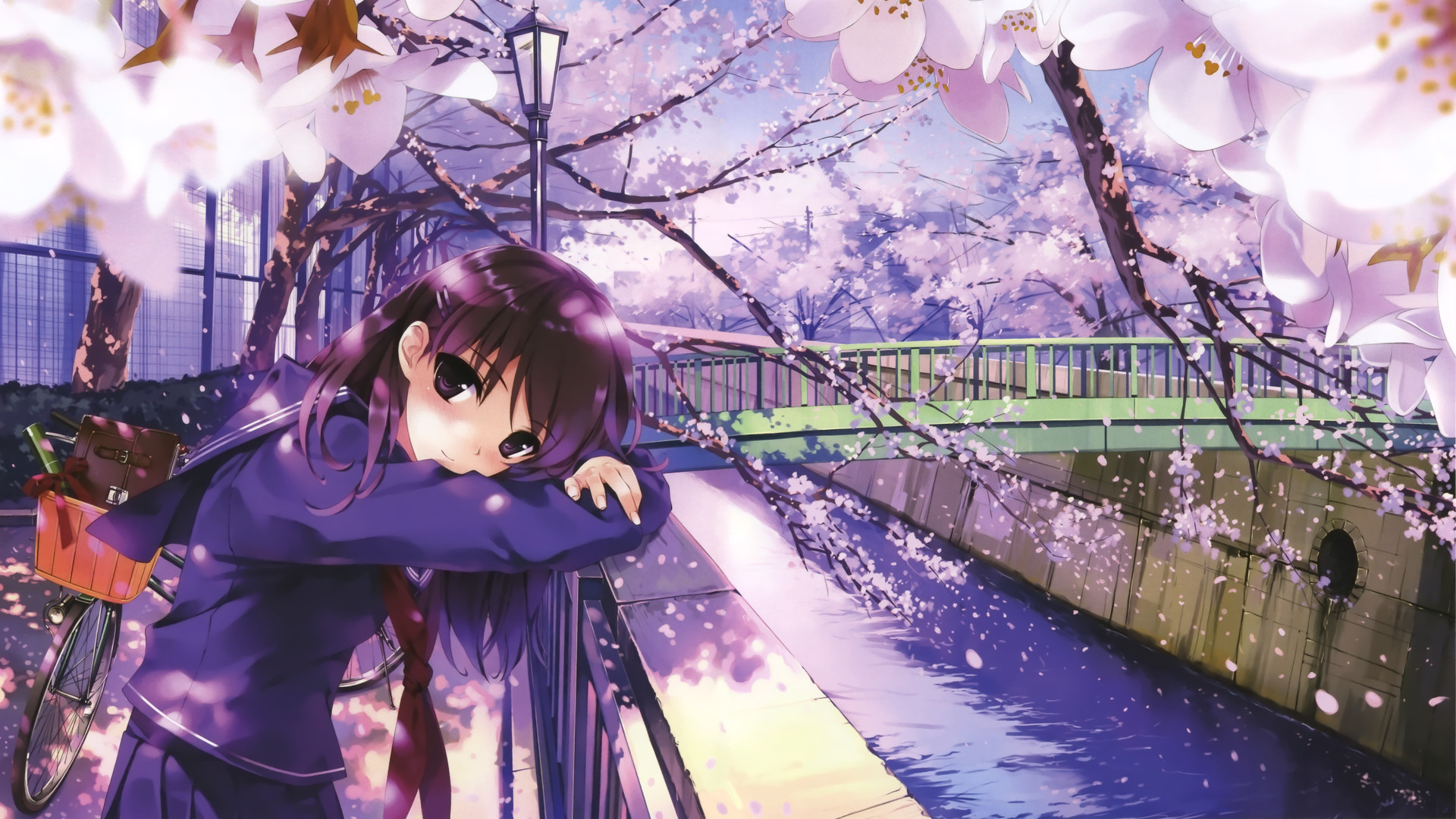 Обои аниме, цветение вишни, цветок, весна, пурпур в разрешении 1920x1080