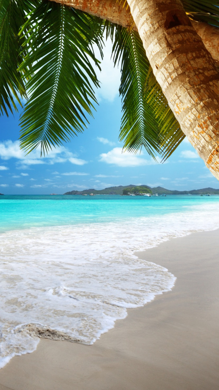 Обои пляж, водоем, тропическая зона, океан, море в разрешении 750x1334