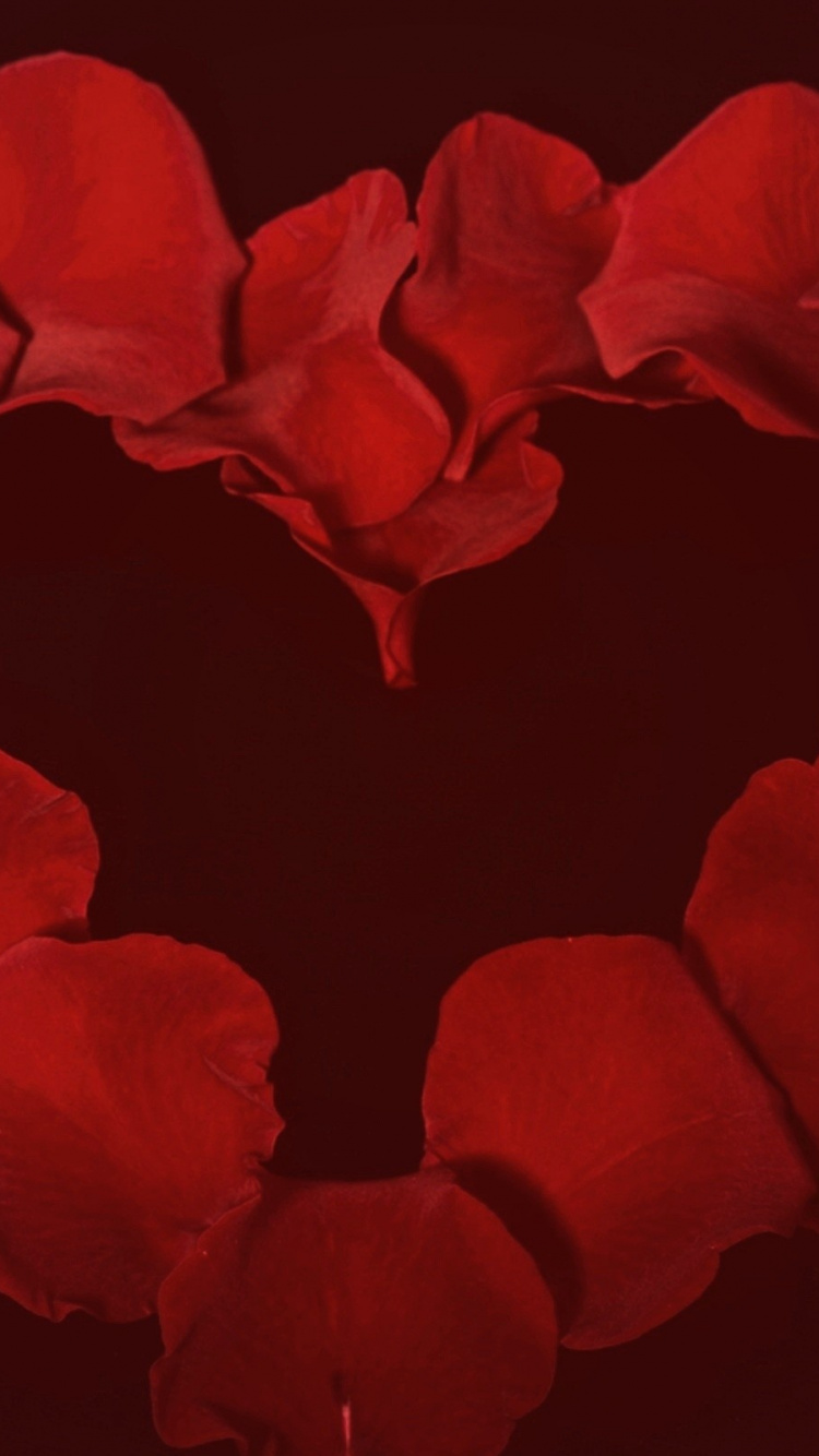 Обои сад роз, красный цвет, сердце, лепесток, День Святого Валентина в разрешении 750x1334