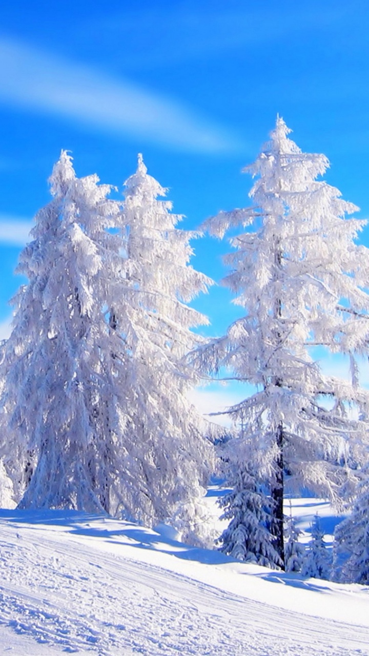 Обои зима, снег, дерево, замораживание, гора в разрешении 720x1280