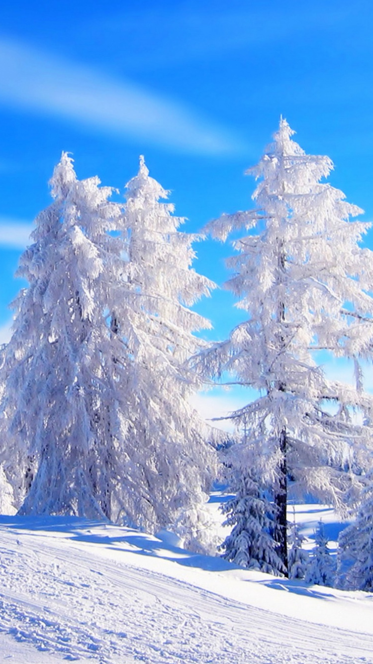 Обои зима, снег, дерево, замораживание, гора в разрешении 750x1334