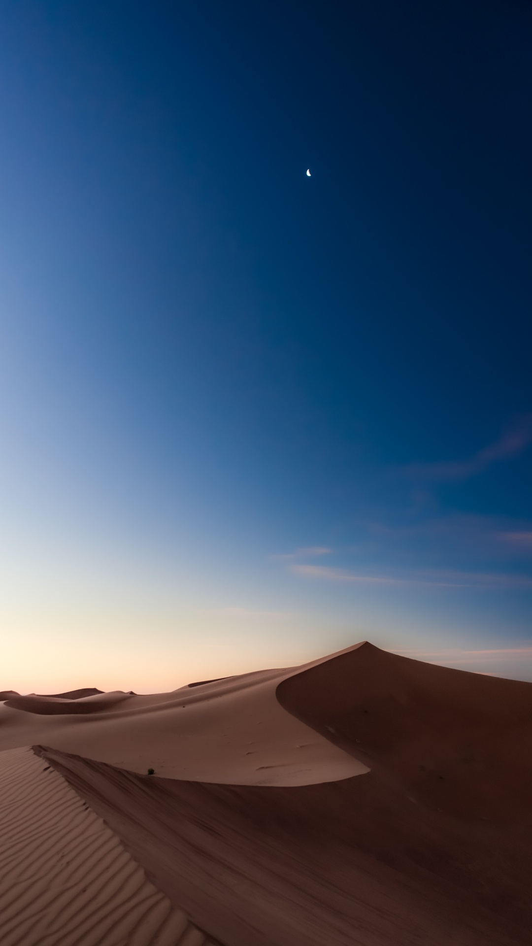 Обои луна, экорегион, окружающая среда, природный ландшафт, пейзаж в разрешении 1080x1920