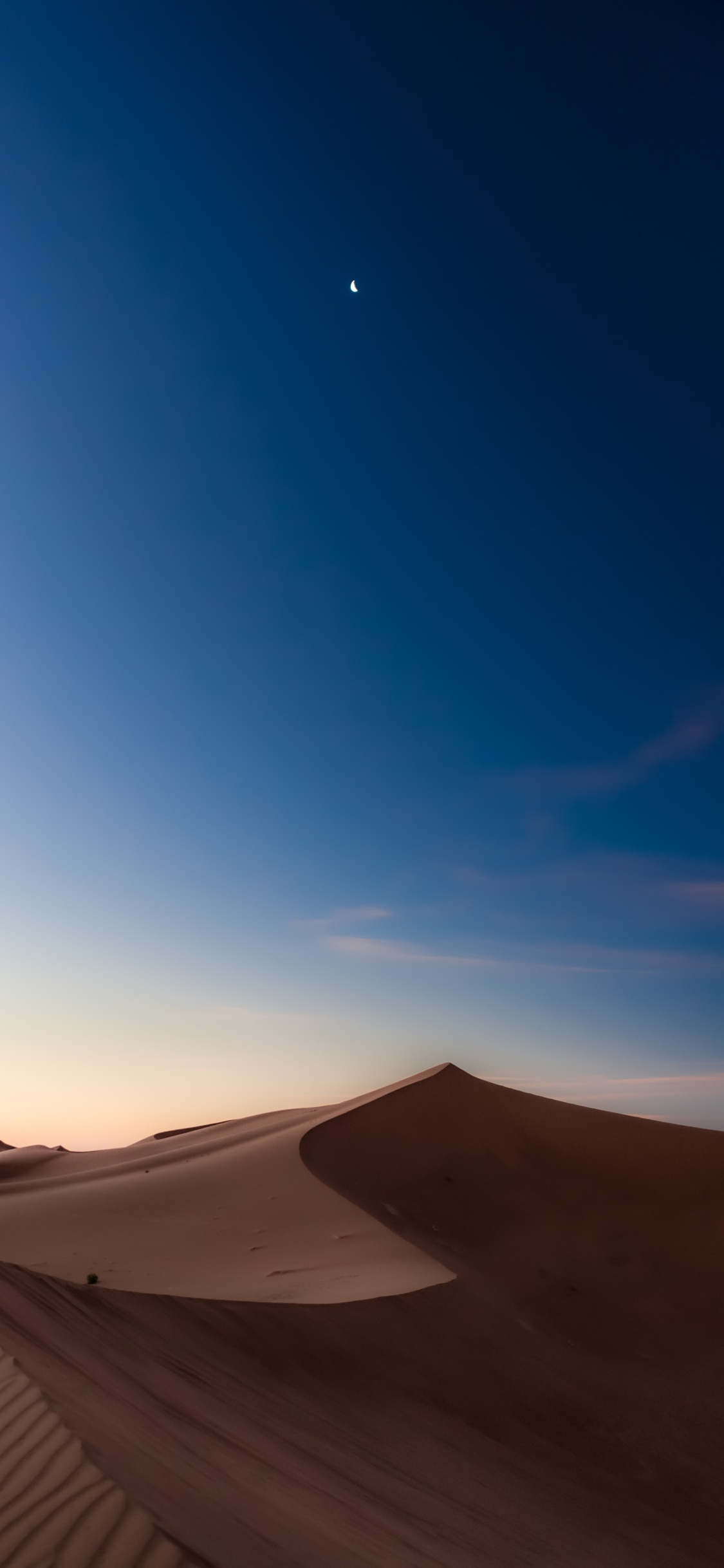 Обои луна, экорегион, окружающая среда, природный ландшафт, пейзаж в разрешении 1125x2436