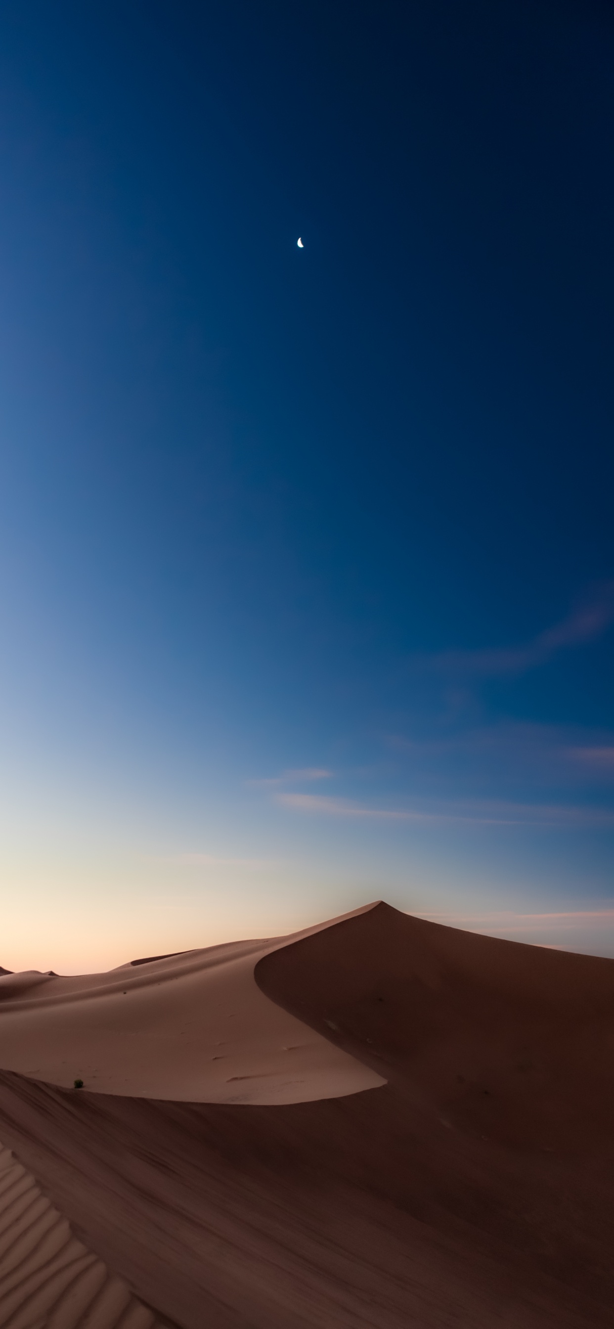 Обои луна, экорегион, окружающая среда, природный ландшафт, пейзаж в разрешении 1242x2688