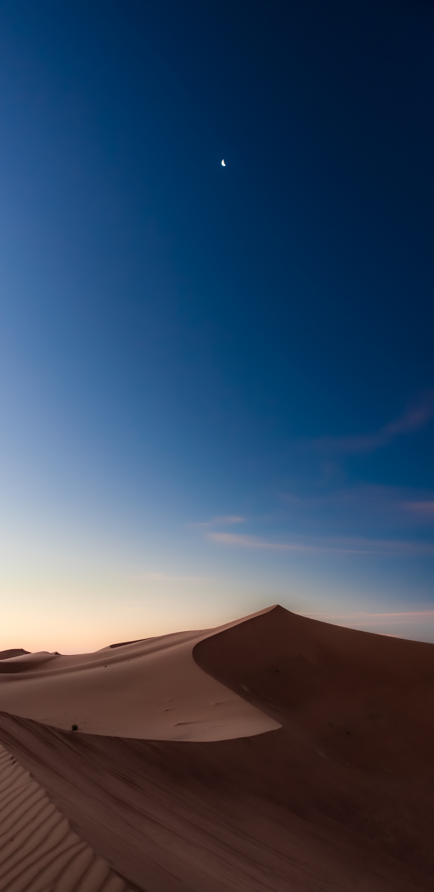 Обои луна, экорегион, окружающая среда, природный ландшафт, пейзаж в разрешении 1440x2960