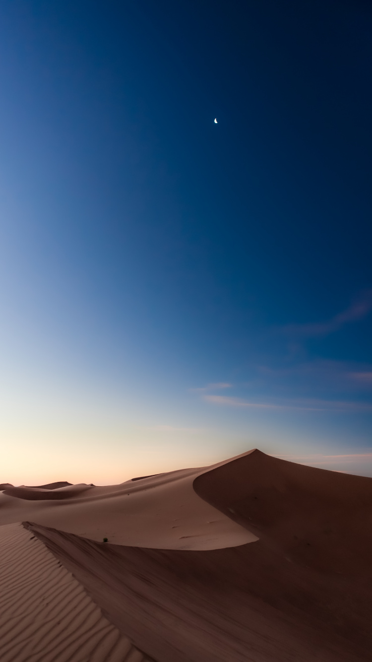 Обои луна, экорегион, окружающая среда, природный ландшафт, пейзаж в разрешении 750x1334