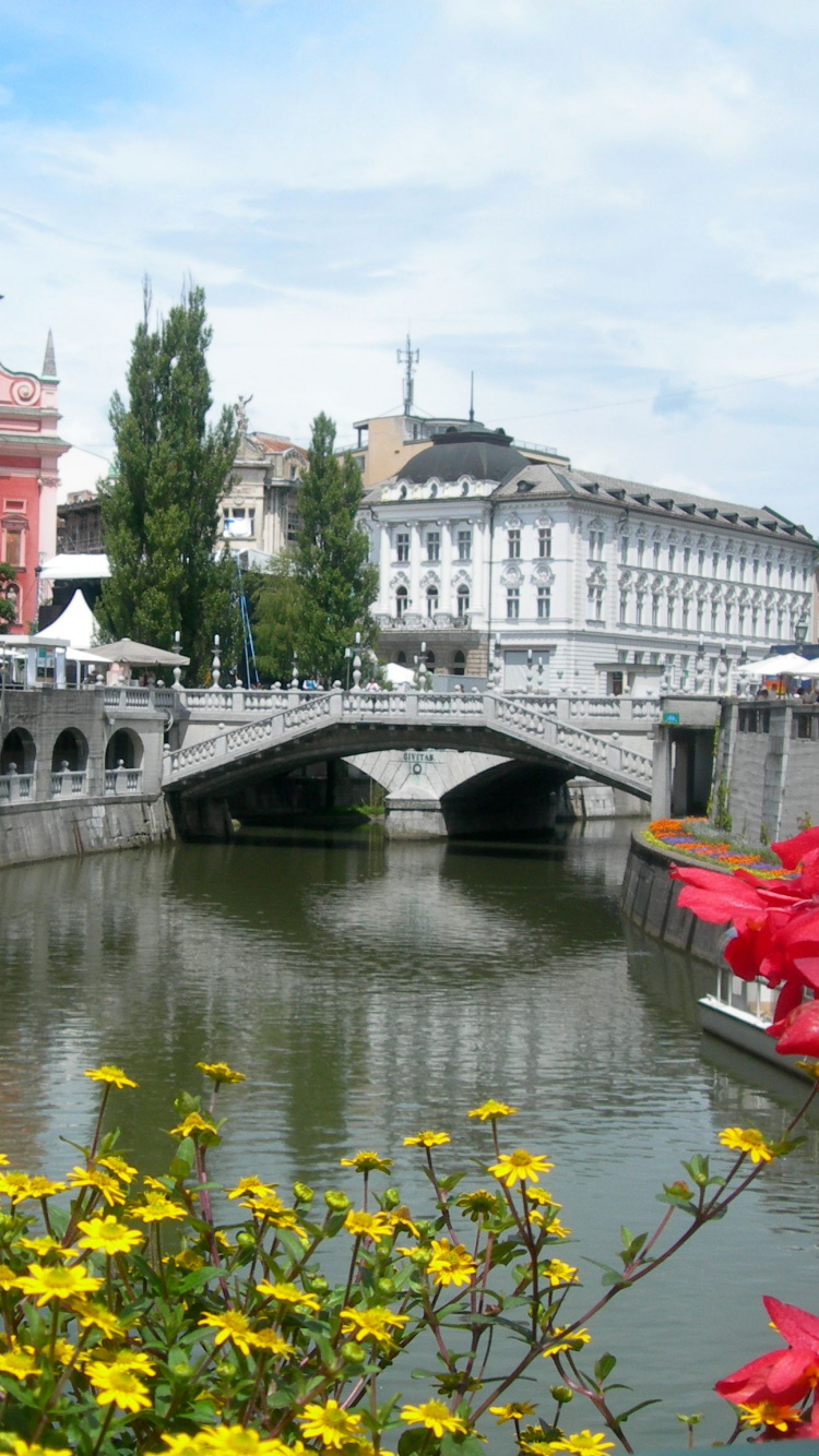 Обои Любляна, достопримечательность, водный путь, городок, канал в разрешении 750x1334