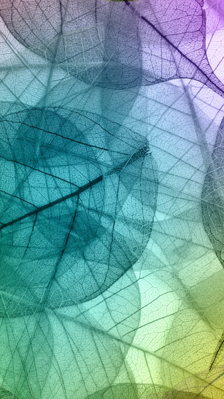 Обои дизайн, лист, зеленый, пурпур, линия в разрешении 720x1280