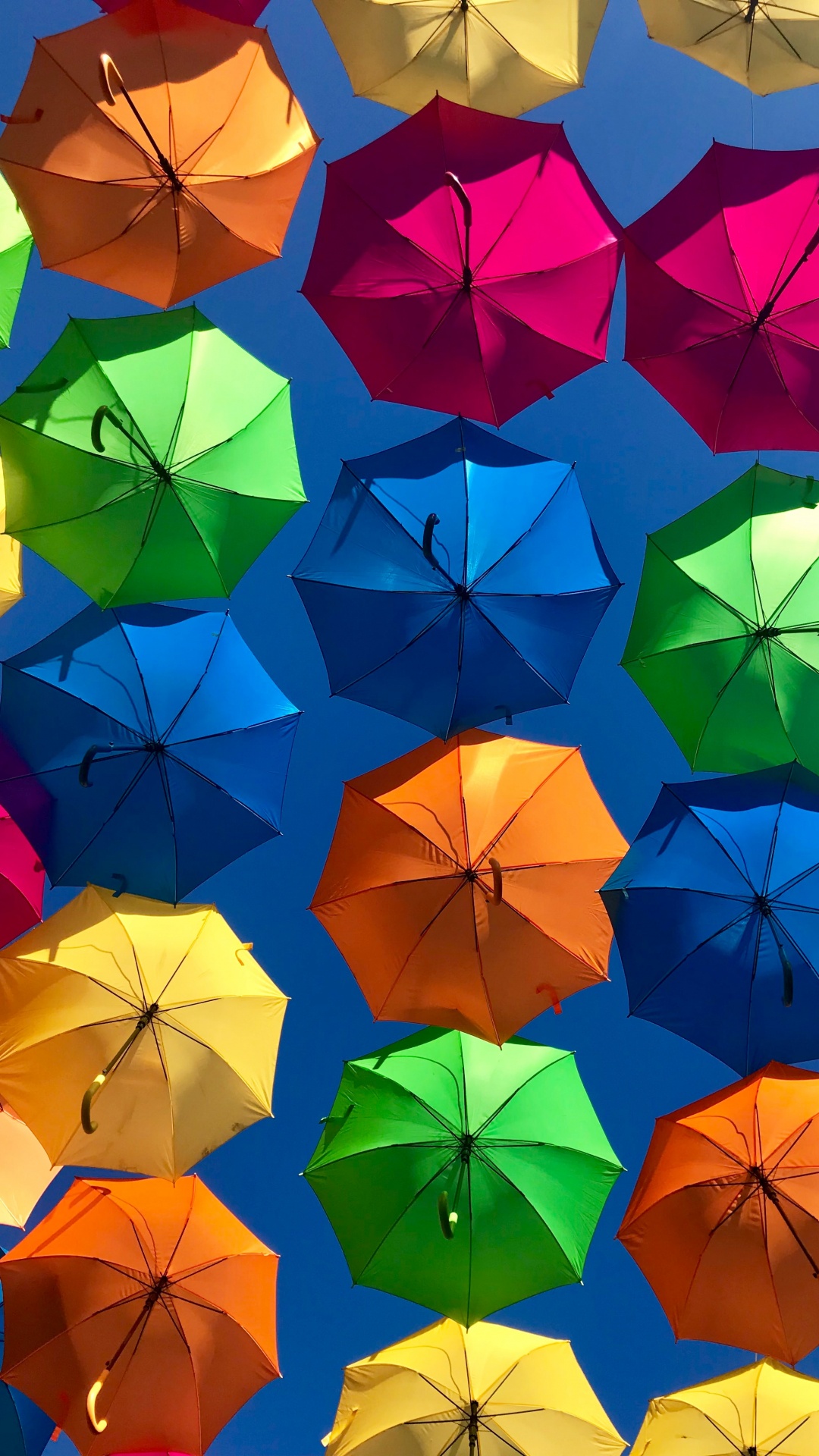 Обои красочный зонт, зонтик, цвет, свет, природа в разрешении 1080x1920