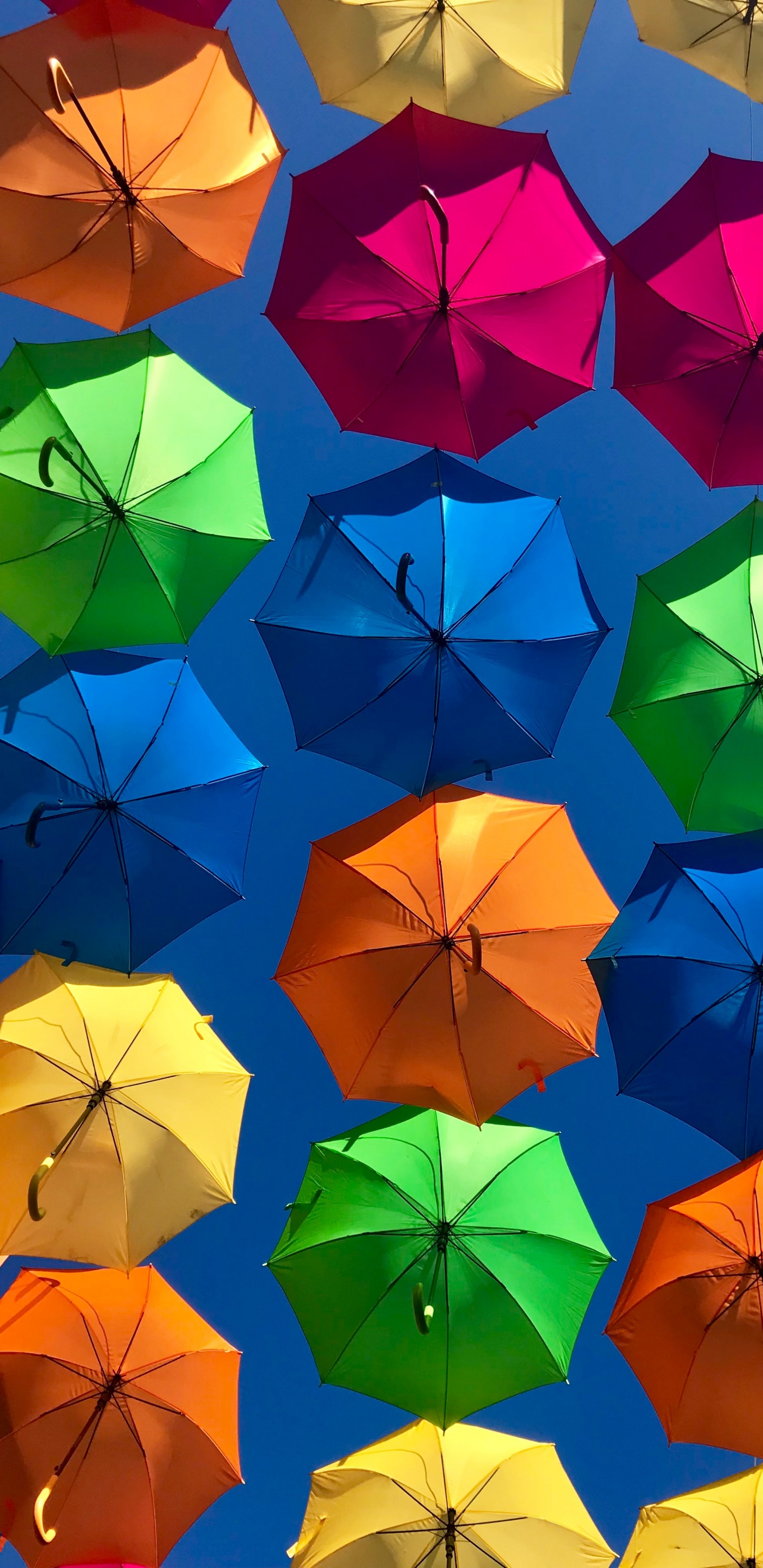 Обои красочный зонт, зонтик, цвет, свет, природа в разрешении 1440x2960