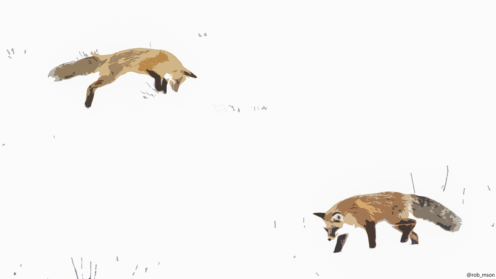 Обои рыжая лисица, procyonidae, экорегион, олененок, наземные животные в разрешении 1920x1080