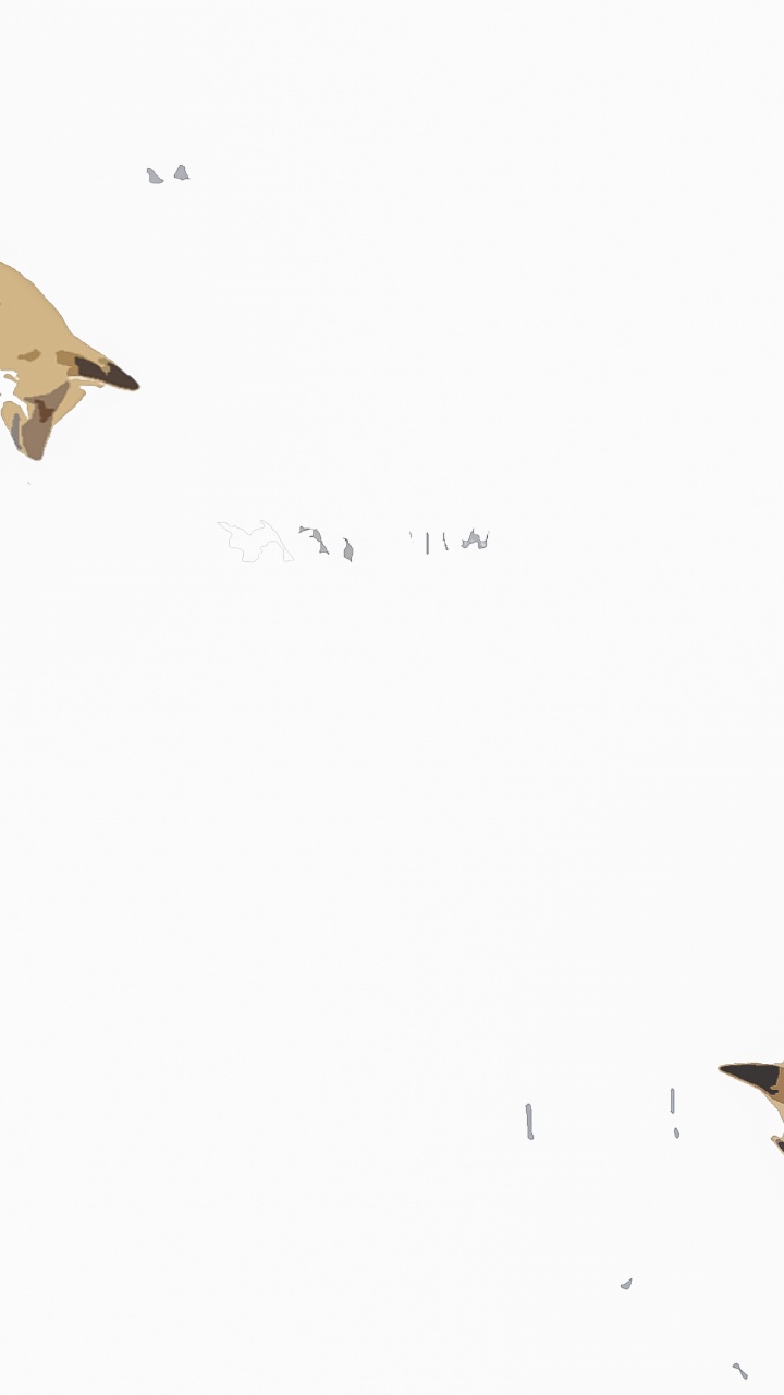 Обои рыжая лисица, procyonidae, экорегион, олененок, наземные животные в разрешении 720x1280