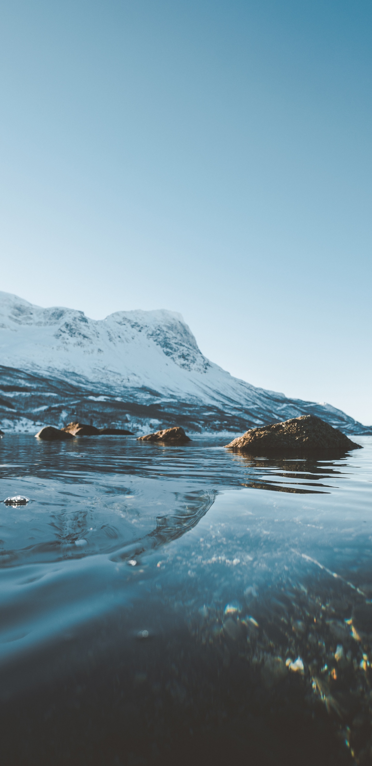 Обои океан, море, лед, Арктика, Северный Ледовитый океан в разрешении 1440x2960