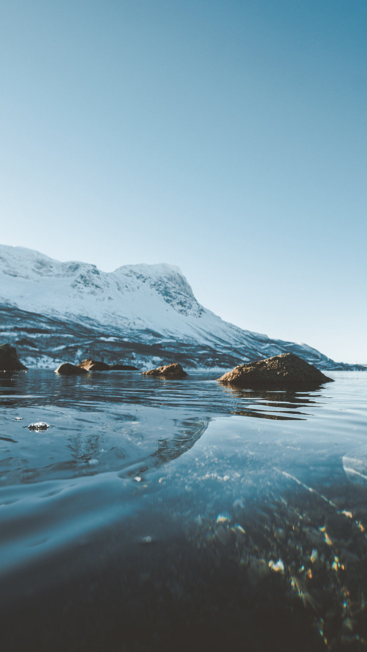 Обои океан, море, лед, Арктика, Северный Ледовитый океан в разрешении 750x1334