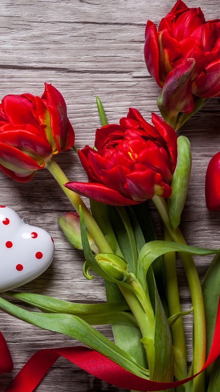 Обои День Святого Валентина, сердце, цветок, красный цвет, лепесток в разрешении 720x1280