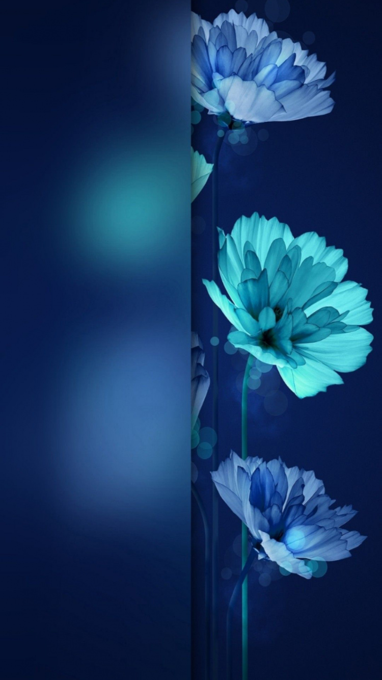 Обои цветок, Роза, растение, синий, лазурный в разрешении 750x1334