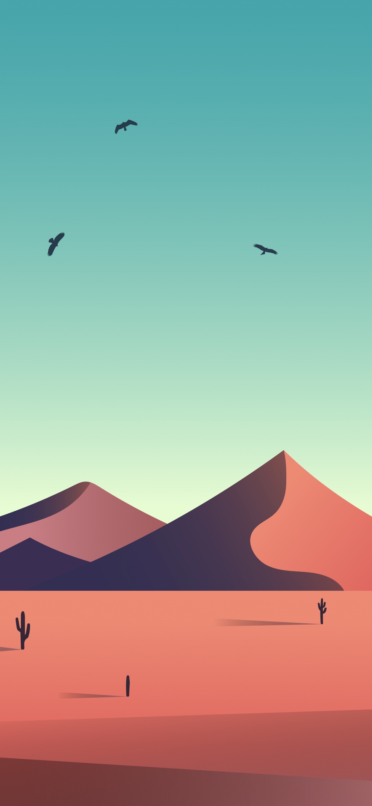 Обои экорегион, птица, склон, эрг, пейзаж в разрешении 1242x2688